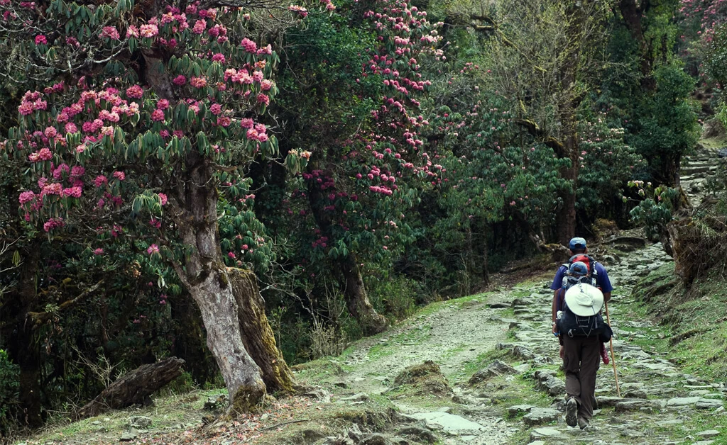 Chisapani Nagarkot Hike